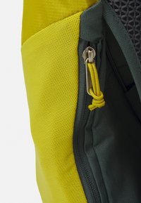 Deuter AC LITE 17 UNISEX - Sac à dos - greencurry/teal