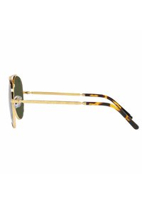 Occhiali da sole tondi con montatura in metallo dorato, lenti verdi e aste a motivo tartaruga. Texture dettagliata sulle aste.