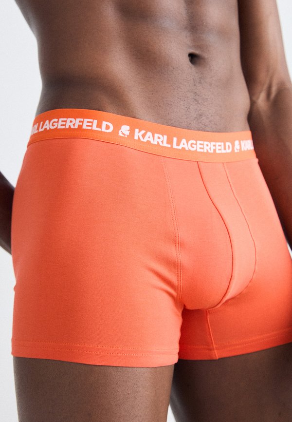 LOGO TRUNK 5 PACK - Trunks2