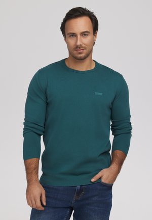 Mężczyzna o krótkich ciemnych włosach, ubrany w turkusowy sweter z długim rękawem i niebieskie dżinsy, stojący z jedną ręką w kieszeni na jednolitym tle.