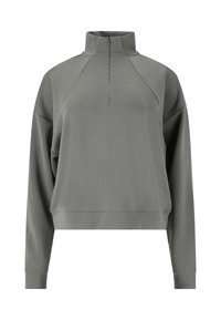 Lichtgrijze pullover sweatshirt met een hoge kraag en korte rits. Heeft raglanmouwen, een relaxte pasvorm en een gladde, rekbare stof.