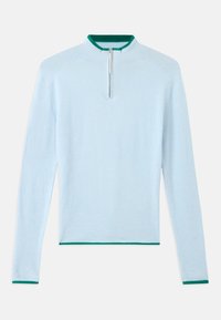 FITTED LONGSLEEVE UNISEX - Džemperis - alice blue