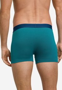 Boxer briefs da uomo in teal con vita in navy, con una vestibilità aderente e una texture liscia, visti da dietro con un primo piano della vita.