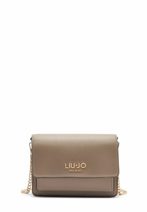 Borsa a tracolla in pelle grigia chiara con hardware dorato, tracolla a catena e logo impresso. Forma rettangolare con chiusura a patta.