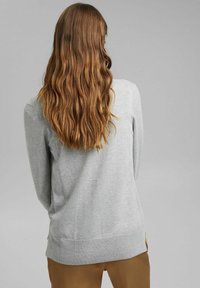 Szary sweter z długimi rękawami i prążkowanym obszyciem, wykonany z miękkiego materiału. Charakteryzuje się prostym krojem i luźnym fasonem, widziany od tyłu.