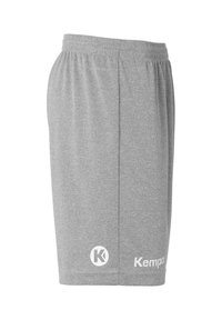 Shorts de sport gris en tissu respirant, avec une taille élastique, des accents de logo, et une coupe longueur genou.