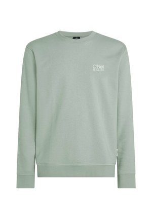 Hellgrüner Pullover mit langen Ärmeln, Rundhalsausschnitt, gerippten Bündchen und Saum. Auf der Brust befindet sich ein kleines weißes aufgedrucktes Logo.