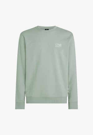 Sudadera verde claro con mangas largas, cuello redondo, puños y dobladillo acanalados. Presenta un pequeño logo blanco impreso en el pecho.