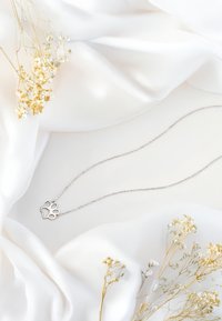 Silverkedja med ett hänge i form av ett tassavtryck på en slät vit silkebakgrund med torra blommor.