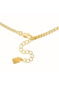Collier en chaîne dorée avec un design à maillons, un fermoir en forme de homard et une chaîne ajustable avec une petite étiquette plate à l'extrémité.