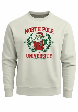 FRONTPRINT PULLOVER MIT PRINT FASHION - Sweatshirt - urban grey