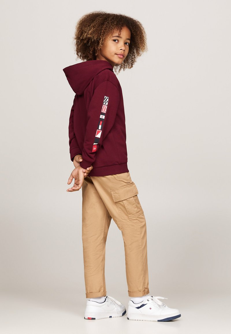 Tommy Hilfiger FLAGS EMBROIDERED Felpa con cappuccio deep