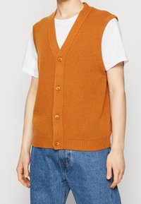 Rostfarbener Strickweste mit V-Ausschnitt, ausgestattet mit fünf Knöpfen an der Vorderseite, gerippter Textur und passgenauer Säume. Getragen über einem weißen T-Shirt.