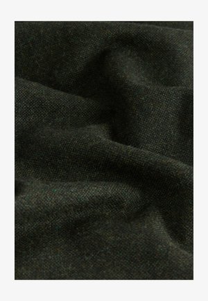 Next REGULAR FIT - PREMIUM - Nohavice - green