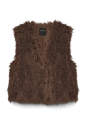 Gilet marrone in pelliccia sintetica con scollo a V profondo, design senza maniche e finitura morbida e testurizzata. L'interno è in tessuto liscio con un'etichetta.