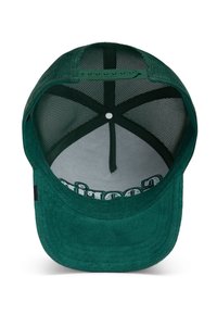 Green cap with a mesh back, solid front panel, flat brim, reinforced stitching, and a snapback closure. Interior features printed logo.