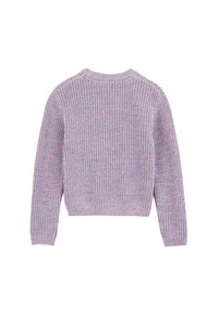 Suéter de punto en tonos púrpura y rosa, con un cuello redondo acanalado, mangas largas y una textura de tejido suelto. Diseño acogedor y casual.