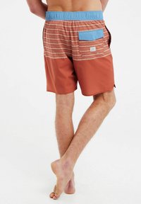 Protest PRTLOHNI - Shorts da mare - clay