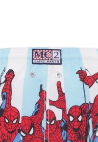Pantaloni da bagno con uno sfondo azzurro chiaro caratterizzati da una grafica ripetuta di Spider-Man. Include un'etichetta con il logo in vita e due occhielli.