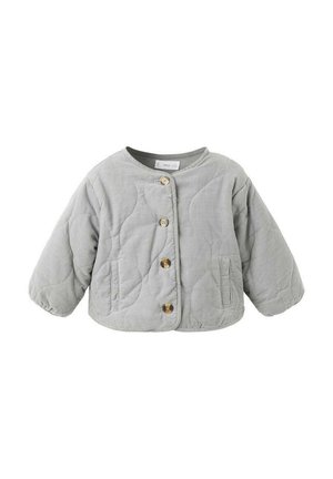 Veste d'hiver - grey