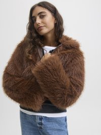 Brūna mākslīgā kažokāda ar platu apkakli un lielām piedurknēm. Materiāls izskatās mīksts un pūkains, ar pieguļošu tumši pelēku apmalu.