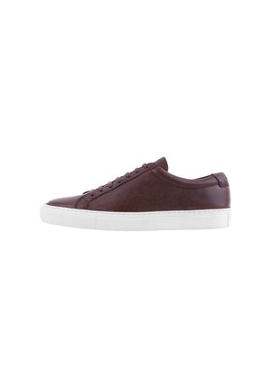 MADEIRA - Trainers - dark brown