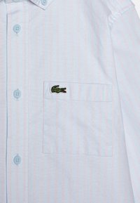 Camicia a righe azzurre chiaro in cotone, con righe rosa, colletto button-down e un piccolo logo di coccodrillo verde sulla tasca del petto.