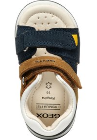 Zapato para niños con parte superior de ante azul marino y marrón, correa de Velcro, suela de goma blanca y detalles cosidos.