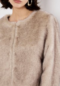 Giacca in finta pelliccia di colore marrone chiaro con scollatura rotonda e una texture morbida e pelosa. Presenta una chiusura frontale e maniche lunghe.