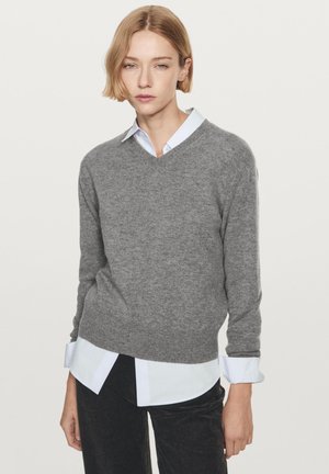 V-NECK WITH LONG SLEEVES - Trui - grey