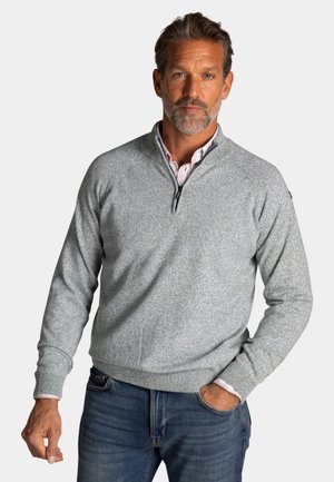 Man met een grijzende baard die een lichtgrijze trui met een kwart-ritssluiting draagt over een wit overhemd en een blauwe spijkerbroek, staand met één hand in zijn zak.