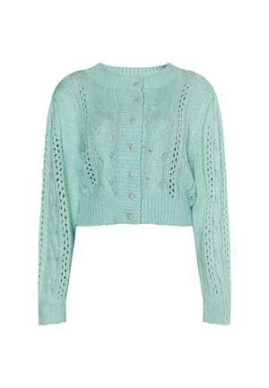 Kratka svetlozeleno jopico z vzorcem pletenice, odprtimi šivi in petimi gumbi z dekorativnimi srebrnimi detajli.