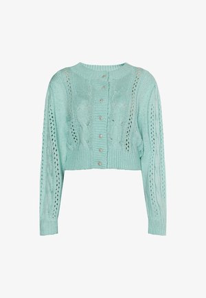 Obcięty kardigan w kolorze miętowym z wzorem ściegów warkoczowych, szczegółami w otwartym ściegu i pięcioma guzikami z dekoracyjnymi srebrnymi akcentami.