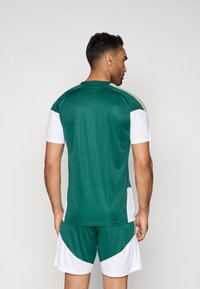 Camisola atlética verde com detalhes brancos, com mangas curtas, decote redondo, e riscas douradas nos ombros; acompanhada de calções a condizer.