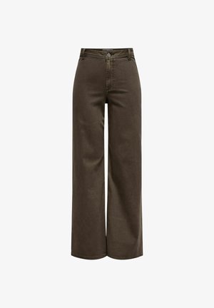 Brązowe spodnie o wysokim stanie i szerokich nogawkach z przodu zapinane na guziki i zamek błyskawiczny, z szlufkami na pasek i bez widocznych kieszeni, prezentowane na białym tle.