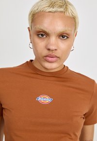 Dickies MAPLE VALLEY  - Tricou cu imprimeu - mocha bisque