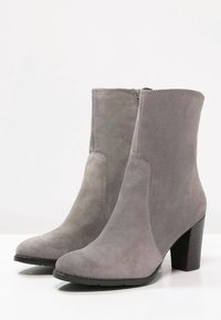 Botines de ante grises con cierre de cremallera lateral y un alto tacón cuadrado. Textura suave con detalle de costura vertical a lo largo de los lados.