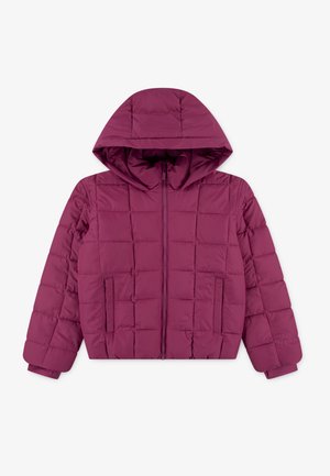 Abercrombie & Fitch MIDWEIGHT PUFFER JACKET UNISEX - Veste d'hiver - magenta haze