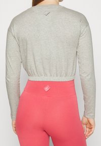 Champion Långärmad tröja - grey