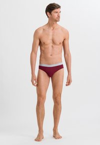 Hanro ESSENTIALS PACK 2 - Slip - ruby coal melange