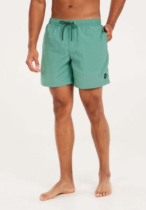 Protest FASTER - Shorts da mare - frosty green