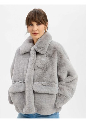 CARLY - Winterjas - grau