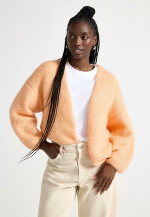 Kvinde med lange fletninger iført en ferskenfarvet, blød cardigan over en hvid skjorte og beige bukser, stående med den ene hånd i lommen mod en ensfarvet baggrund.