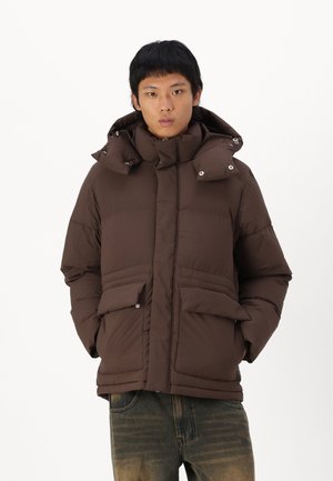 Jack & Jones PREMIUM JORFREDERIKSBERG JACKET - Winterjacke - chocolate brown