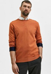 Selected Homme SLHBERG brązowy