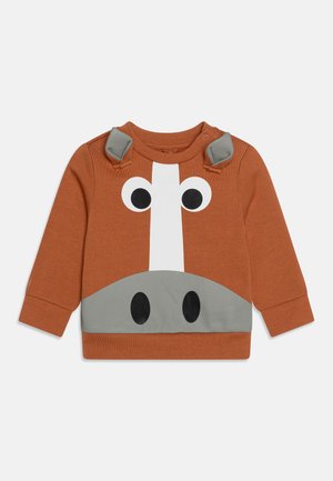 UNISEX - Sweatshirt - brown
