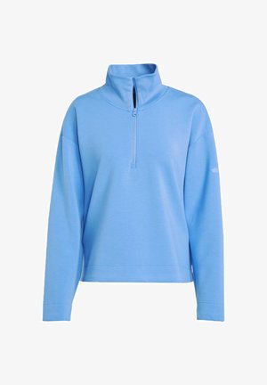 Hellblaues Sweatshirt mit hohem Kragen, halbem Reißverschluss an der Vorderseite und locker sitzenden Ärmeln. Hergestellt aus weichem, strukturiertem Stoff; minimalistisches Design.