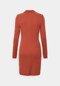 Långärmad, figurnära klänning i rostfärg, med krage och rak passform. Slät struktur med en sömdetalj på baksidan.