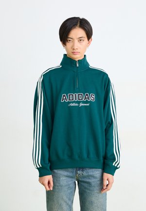 QUARTER ZIP - Sweater - aurora ivy
