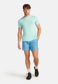 Mint green short-sleeve shirt with a mountain graphic on the chest, paired with light blue shorts and black shoes. Casual athletic outfit.